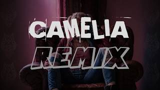 DJ CAMELIA - SUNGGUH TAK AKAN KU BIARKAN -  DJ REMIX 2026 SOUND VIRAL TIKTOK