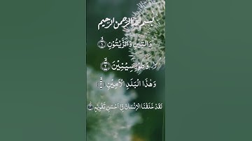 surah at teen | shaikh saad al ghamdi | الشيخ سعد الغامدي | سوره التين