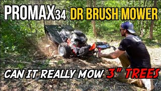 DR PROMAX34 22hp 'Tree mower' - EXTREME STRESS TEST by Will Magner 28,220 views 1 year ago 20 minutes