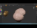 Tuto gratuit  dcouvrir zbrushcoremini 08color et matriaux