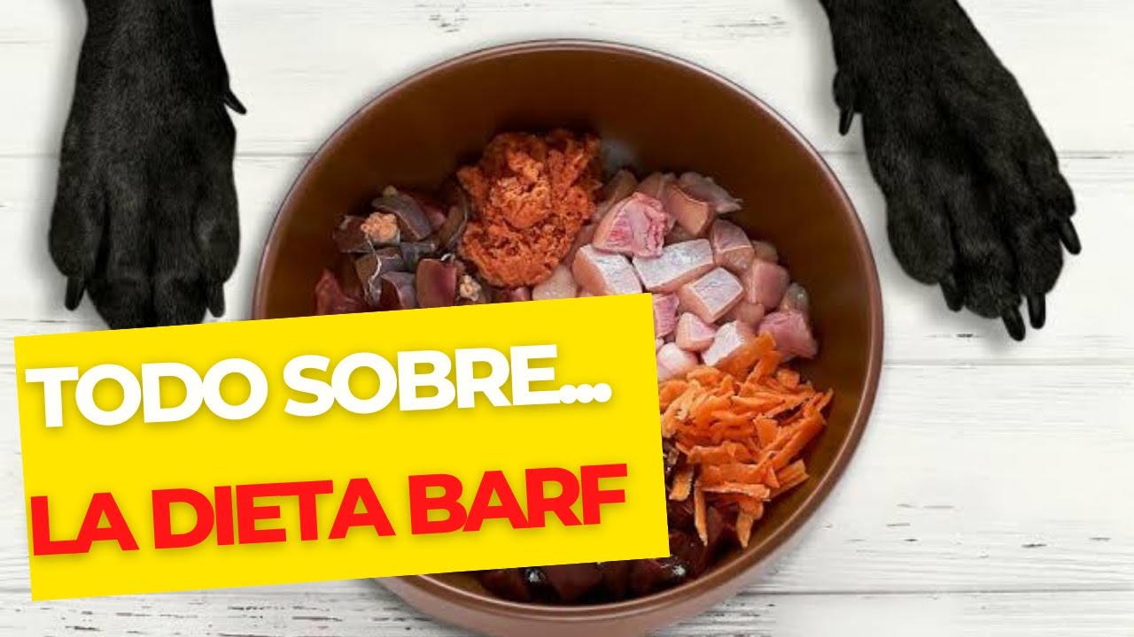 Dieta barf para perros precio