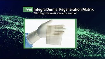 idrt bilayer animation video en