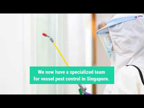 Vessel Pest Control - video from GREENCARE PEST CONTROL