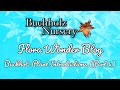Flora Wonder | Buchholz Plant Introductions (Part 4)