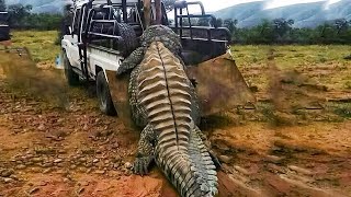 12 Prehistoric Creatures That Are Still Alive Today