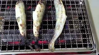 北釧水産のオマケでついていた氷下魚を網の上で焼いてみました