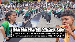 Herencia Mestiza 🥁 Audición de colectivos coreográficos 2024