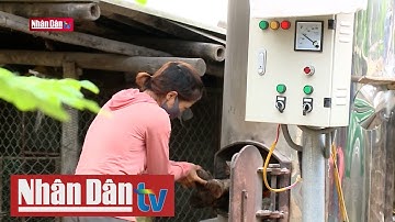 Công nghệ mới trong chế biến vải thiều xuất khẩu