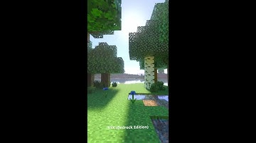 Java Shaders VS. Bedrock RTX #shorts #short