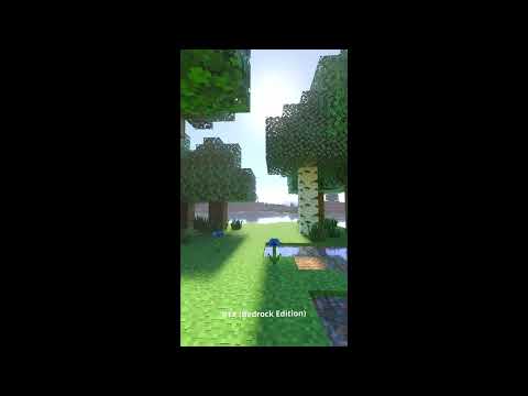 Java Shaders VS. Bedrock RTX #shorts #short