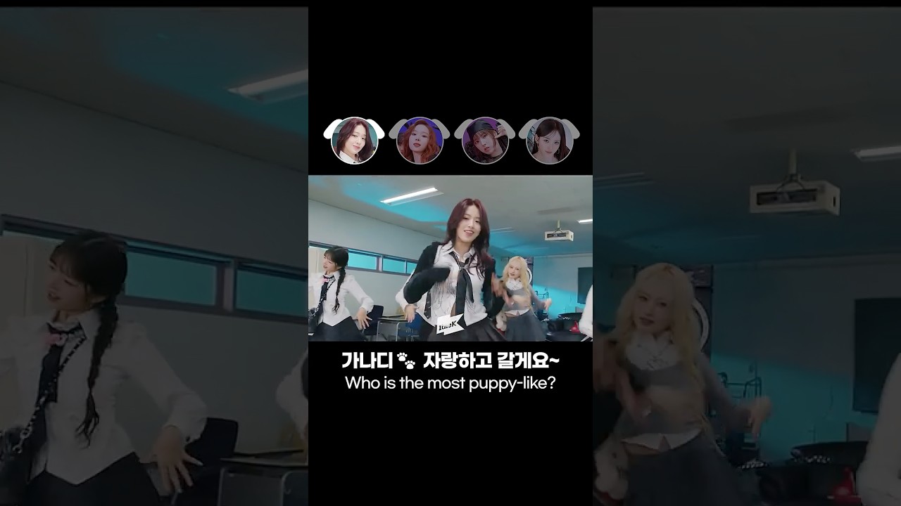 국제 강아지의 날 기념🎉 가나디 자랑하고 갈게요~🐶 Happy National Puppy Day🙌🏻 who is the most puppy-like?