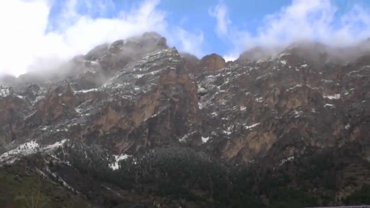 Поздравление c Днём заповедников и национальных парков от