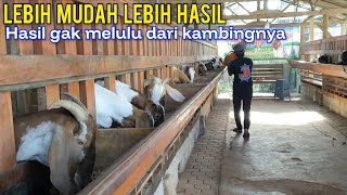 Smart Concept: Goat Farming with Manure Processing Can Be Used to Buy Feed