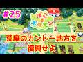 【ライブ】ぽこ あ ポケモン 実況プレイpart25