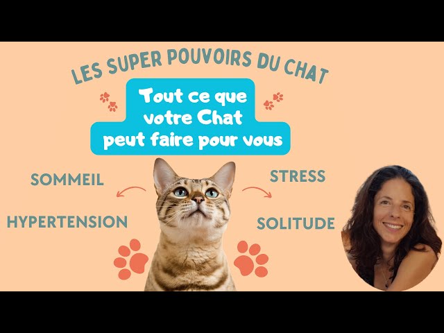 ASMR - CAT - ronronthérapie chat qui ronronne - RONRON RELAXATION