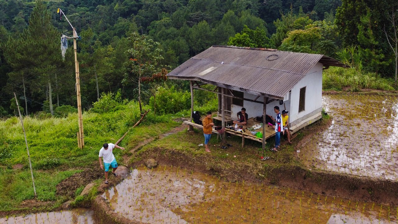 SUASANA PEDESAAN, NGALIWET MAKAN BERSAMA DI SAUNG SAWAH PEGUNUNGAN DITEMANI KABUT DAN UDARA DINGIN