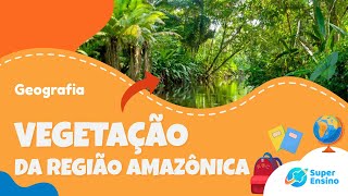 VEGETAÇÃO DA AMAZÔNIA | Geografia - Super Ensino