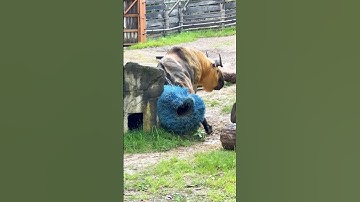 Scratch That Itch With Special Musical Guest RATT!