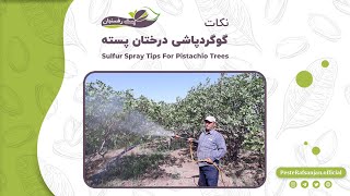 نکات گوگردپاشی درختان پسته - Sulfur Spray Tips