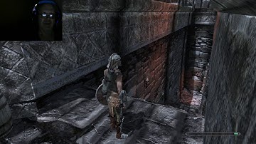 Lazy Argonians - Dunmer RACISM in Skyrim