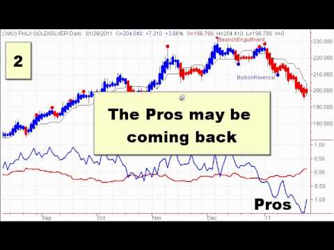 Gold Stock Trends - XAU - TSX - 20110127