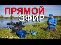 РЫБАЛКА на фидер. 💥ПРЯМОЙ ЭФИР! Ответы на ваши вопросы.