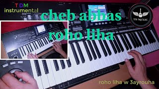Video thumbnail of "roho liha w 3ayrouha instrumental (روحو ليها و عايروها (موسيقى صامتة"