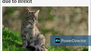 Excerpt from the BBC News article “Wildcat project seeks new backers due to Brexit”