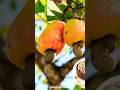 Cashew #skincare #haircare #viral #shorts #healthtips #healthyfood #motivation