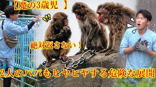 パンチくん 🐵モミちゃんは親ザルに赤ちゃんを絶対に返そうとしません！宮越パパと鹿野パパも肝を冷やすほどの危険な状況です#パンチくん