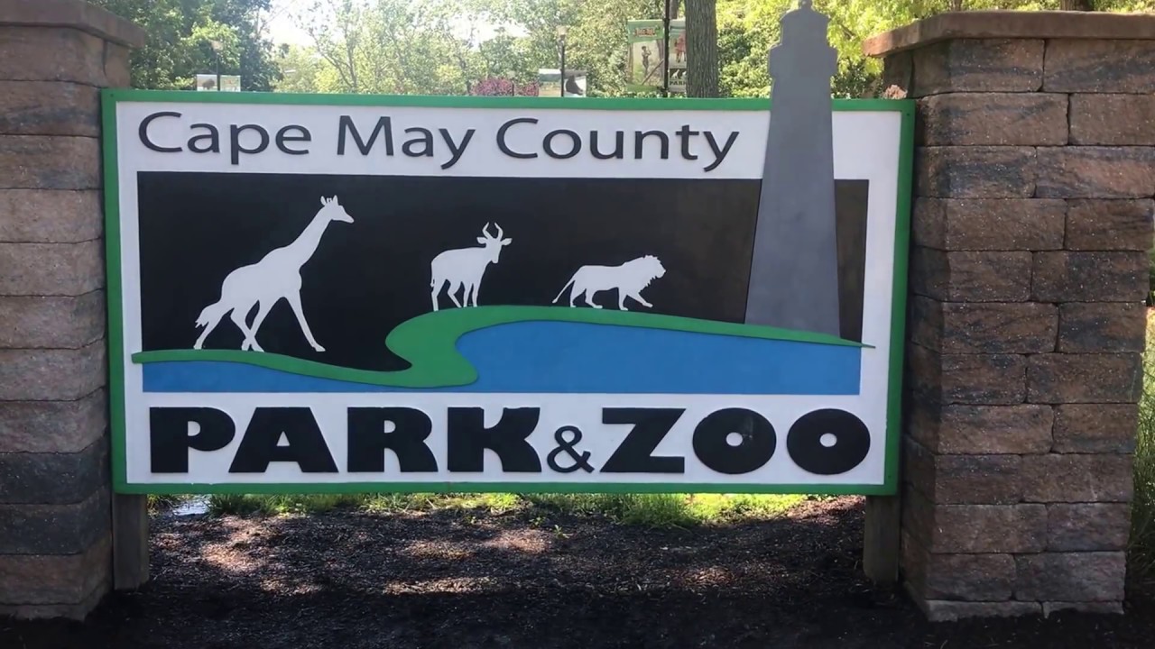 Avalon, Stone Harbor & Cape May County's Best Kept Secret Cape May