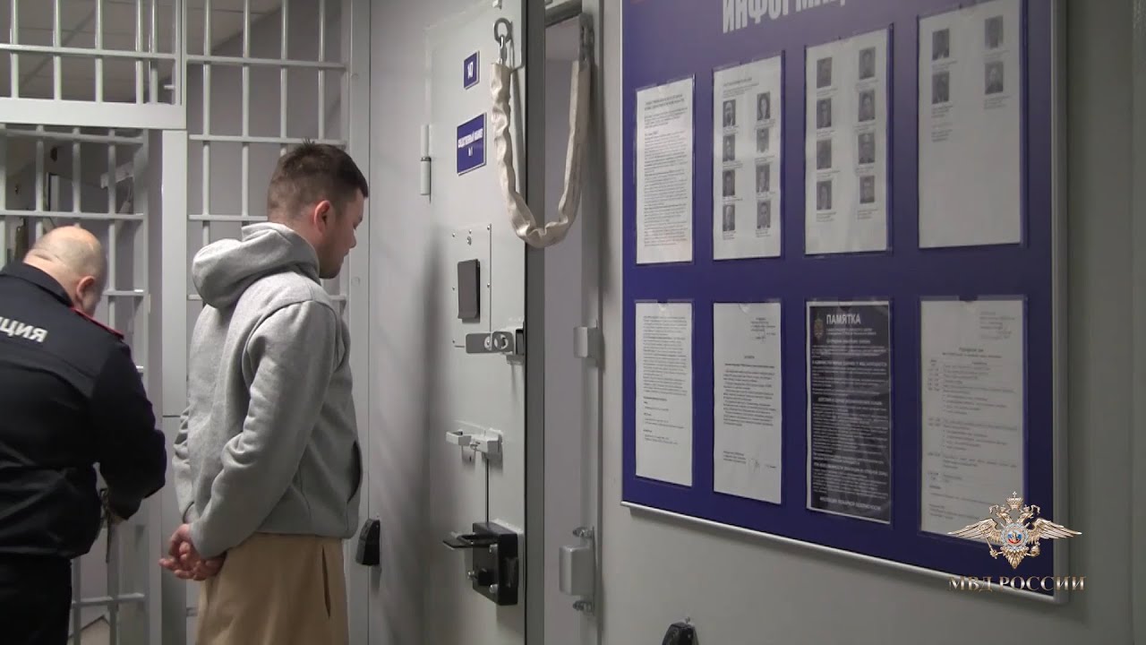 В Подмосковье задержали курьеров, похитивших 8 млн рублей у пенсионера