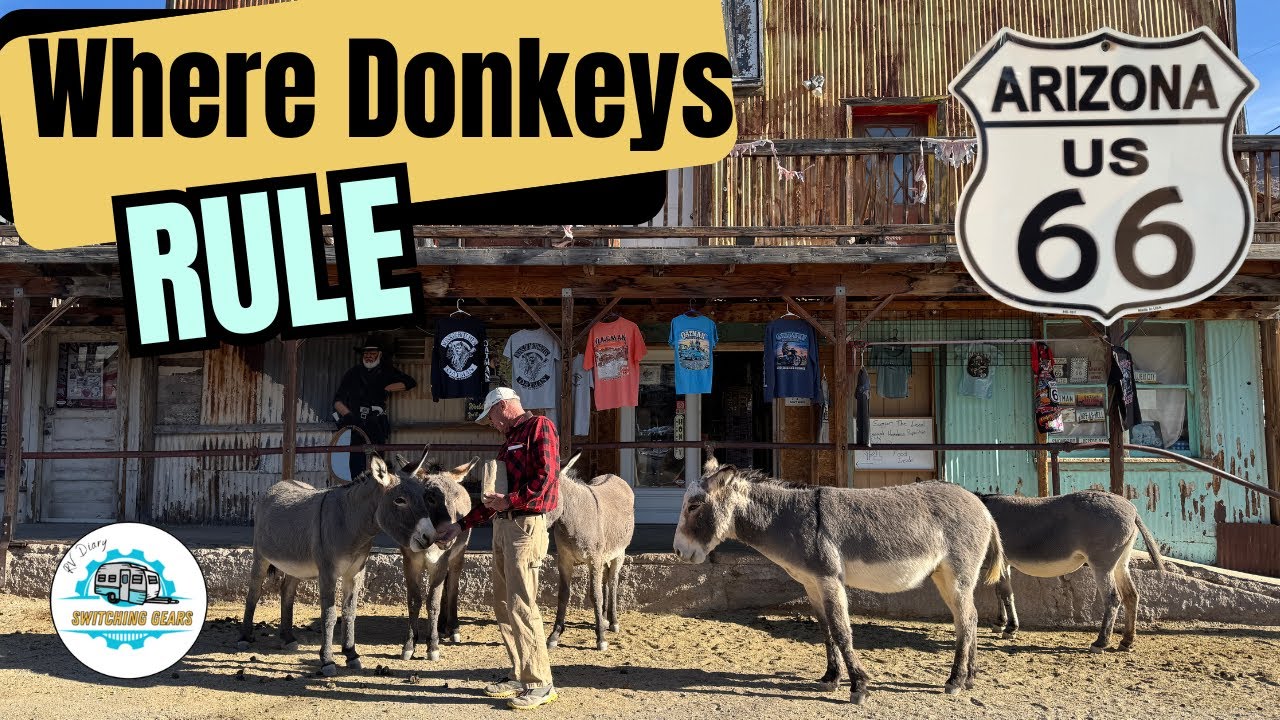 🚐 Donkey Encounters & Route 66 Relics: Our Arizona Road-Trip Adventure