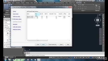 050 Multiple profile views