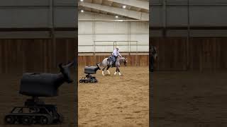 RealCow Advantage? It's Portable.