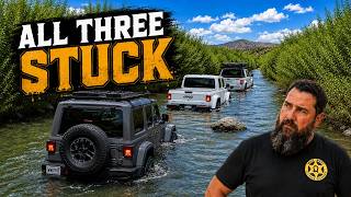 ALL THREE Got Stuck in the Verde River