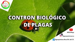 WHAT IS BIOLOGICAL PEST CONTROL AND HOW DOES IT WORK?