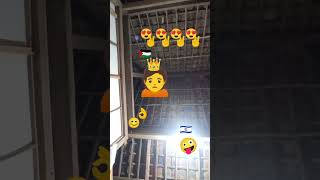 love  well done. have momens. vipp ipvs