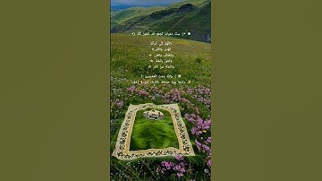 اكتب شئ تؤجر عليه #سورة_آل_عمران #قناة_القارىء_اسلام_صبحي #الباقيات_الصالحات #fyp