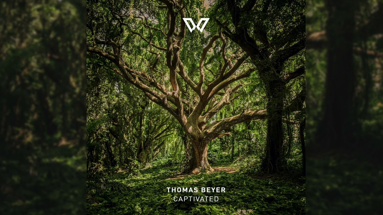 Thomas Beyer - Violette auf YouTube ansehen Thomas Beyer - Violette auf YouTube ansehen