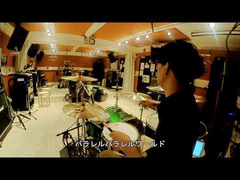 ミス・パラレルワールド 【叩いてみた】【相対性理論】