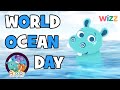 Abadas World Ocean Day Sea Turtle Adventures With Hari Abadas World Ocean Day Sea Turtle Adventures With Hari