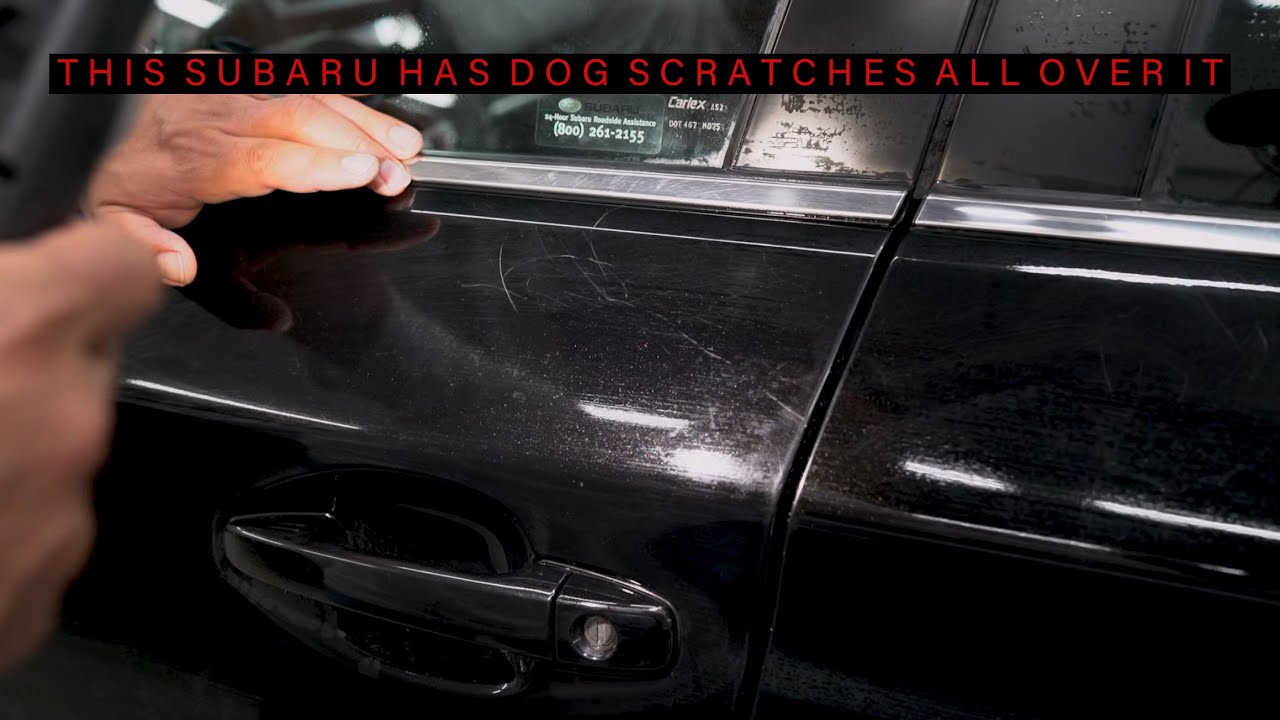 How To Remove Dog Scratches From Car