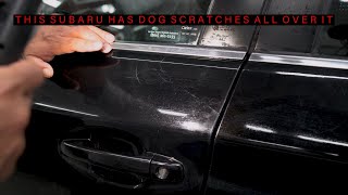 THIS SUBARU HAS DOG SCRATCHES ALL OVER IT... screenshot 5