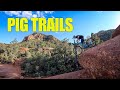 Pigs in space  sedona mtb