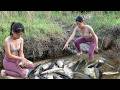How to Catch Big Fish Use A Large Capacity Pump, Catch Big Snakehead Fish  Lý Tiểu Duyên