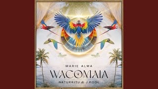 Wacomaia