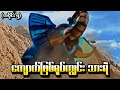 Wild Force အပိုင်း (၅) - ကျောက်ဖြစ်ရုပ်ကျွင်းသားရဲ (Power Rangers 2002 Recap)