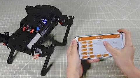 PuppyPi-APP Customized Control