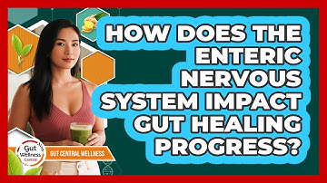 How Does The Enteric Nervous System Impact Gut Healing Progress? - Gut Wellness Central